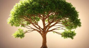 What is a Merkle Tree?